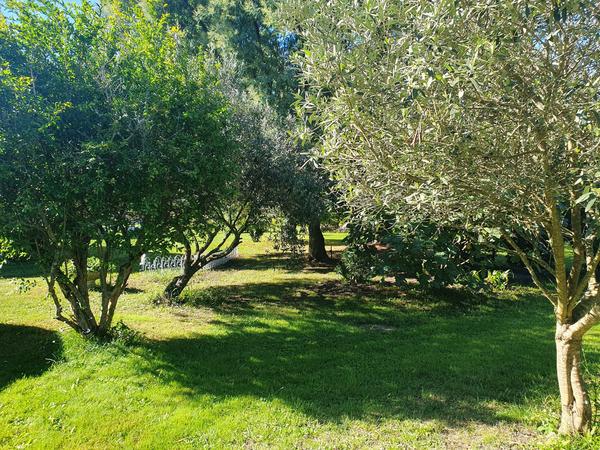 Photo de Résidence Clys