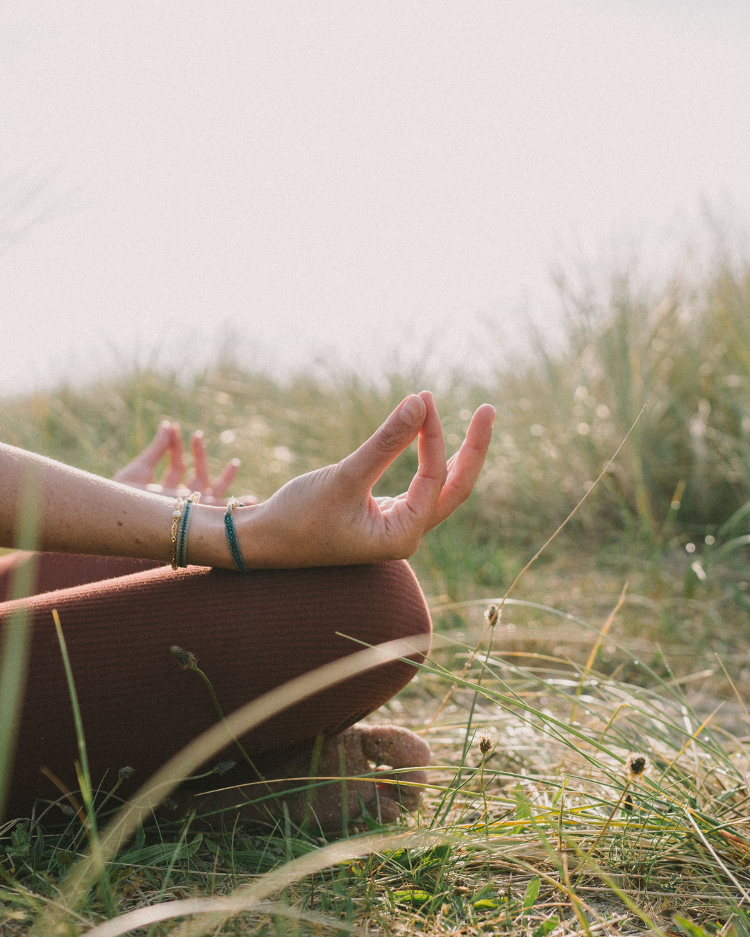 Photo de couverture de Aline-Marie Glimois