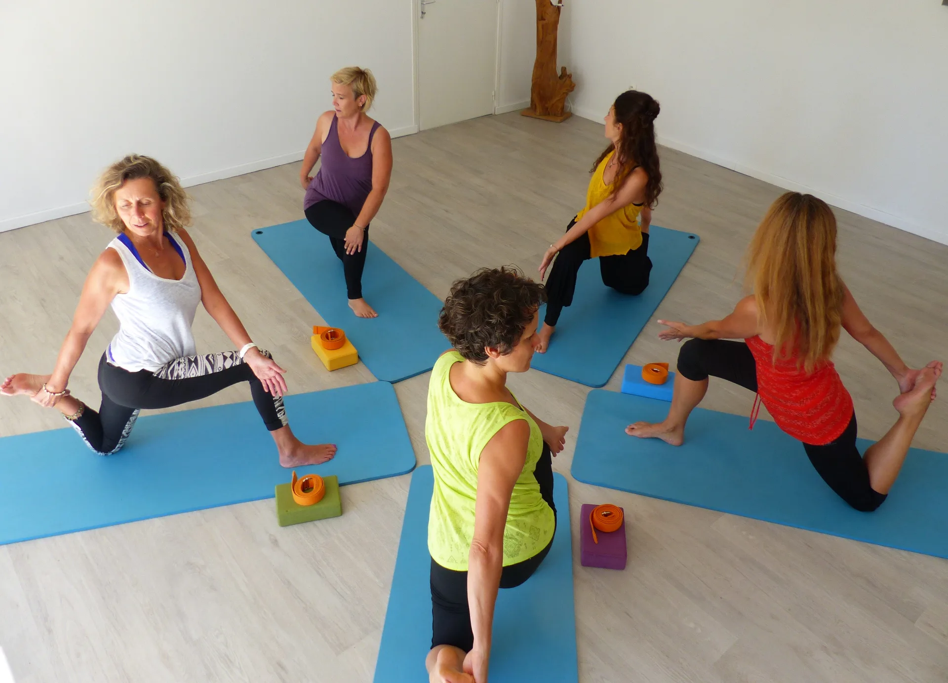 Photo de couverture de BETWEEN YOGIS - Florence DENIEL