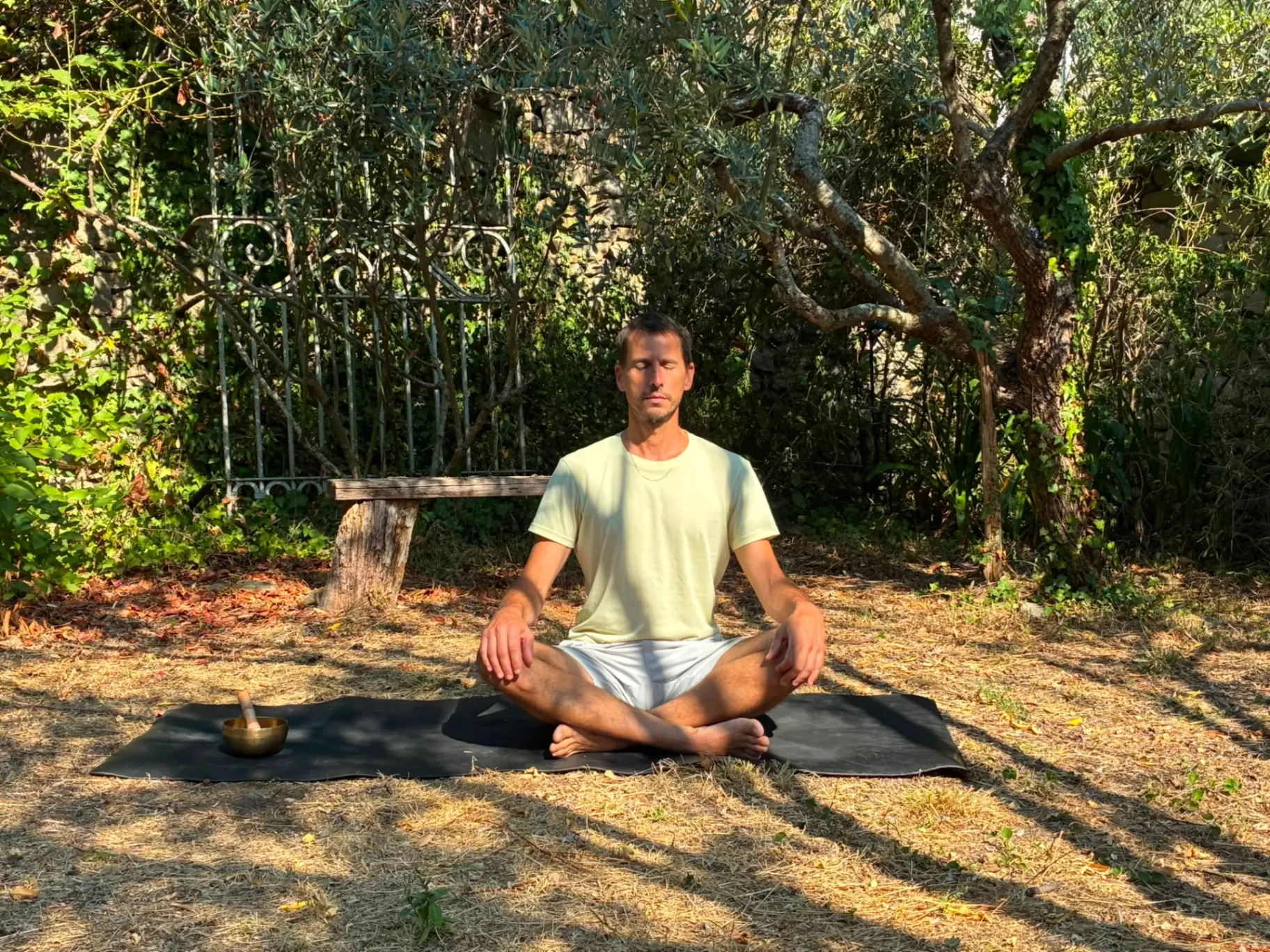 Photo de couverture de Vikasa Yoga Nice
