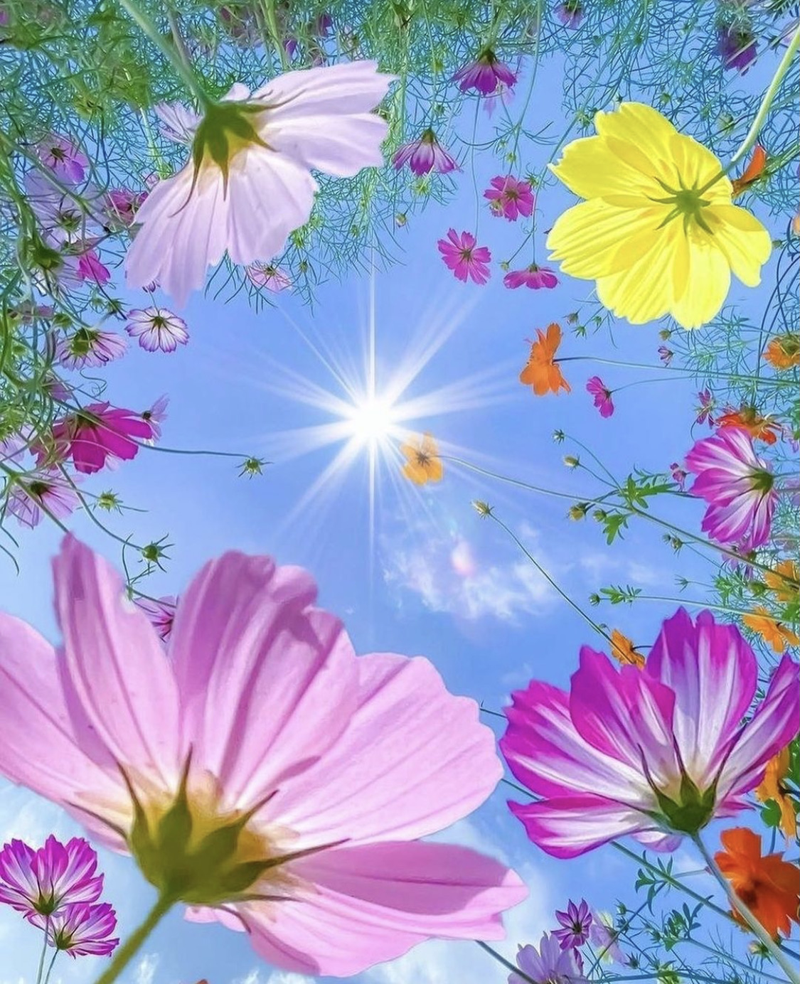 Photo de couverture de Christel Wellness Yoga